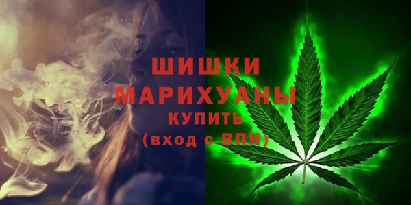 дживик Богданович