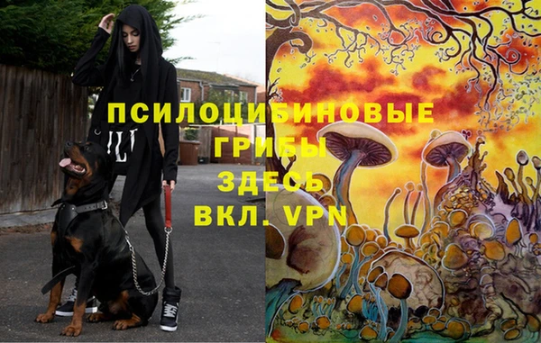 гидропоника Богородск