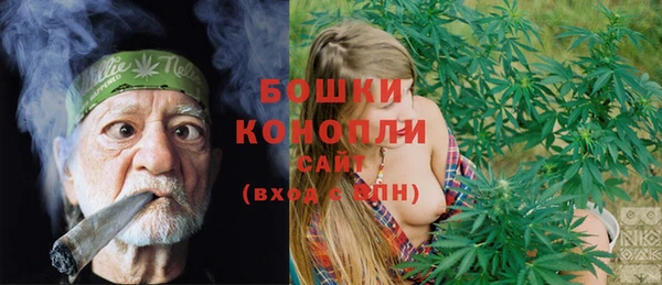 дживик Богданович