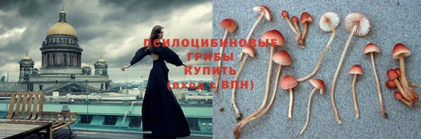 гидропоника Богородск