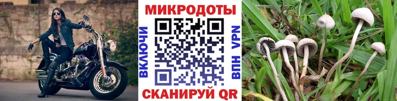 Галлюциногенные грибы GOLDEN TEACHER  Дзержинский 