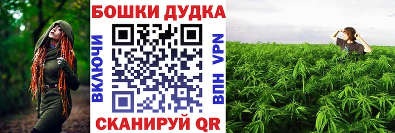 где купить наркотик Дзержинский hydra вход Бошки марихуана конопля